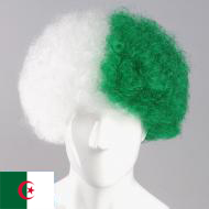 flagwigs, football wigs, fan wigs, afro wigs, mullet wigs, bob wigs, euro wigs,  premier league wigs,Algeria Afro Wig